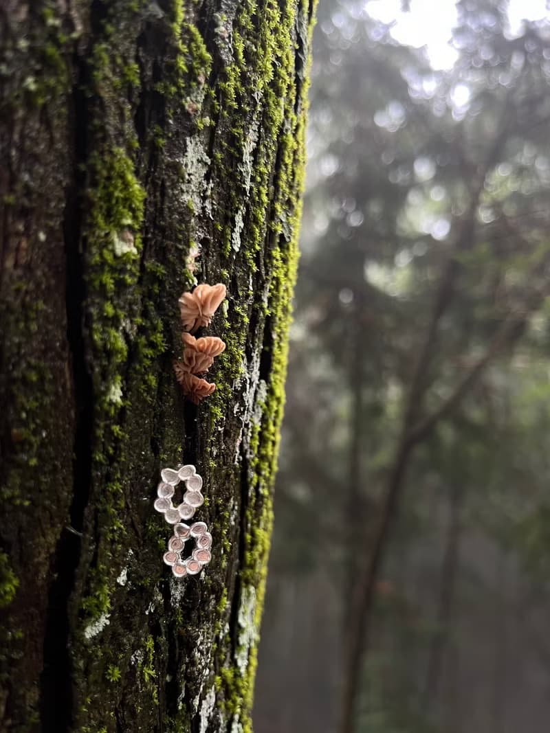 KUÂN KUÂN 綠植系列 胞子耳環 純銀