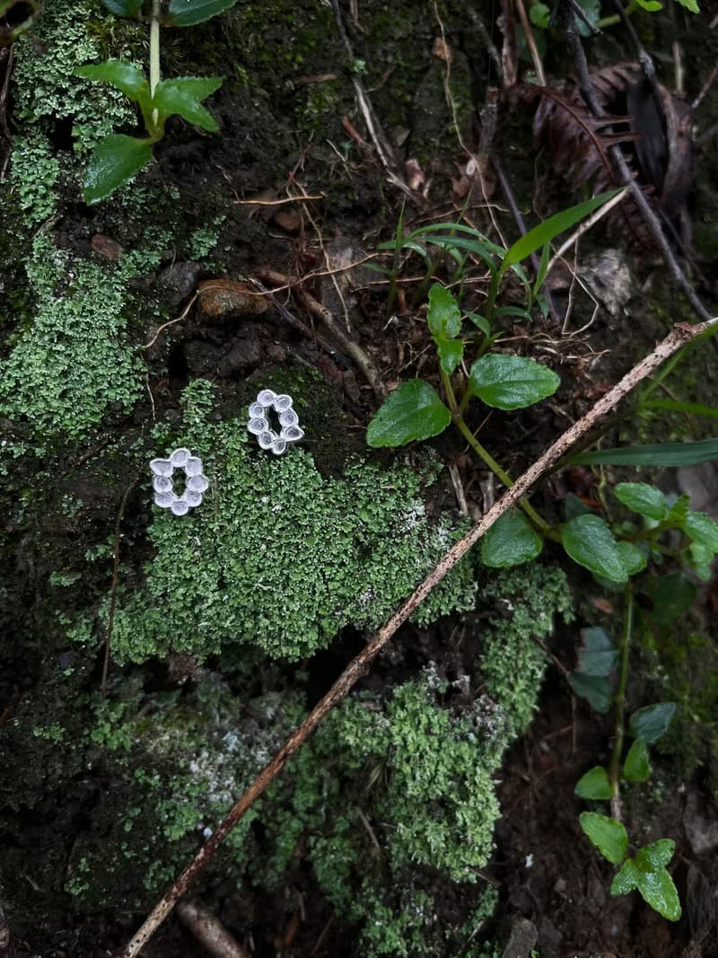 KUÂN KUÂN 綠植系列 胞子耳環 純銀