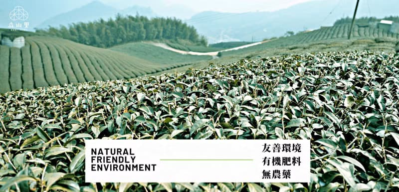 【環保袋裝】蜜香桂花紅茶15入 | 手採原葉 | 三角茶包