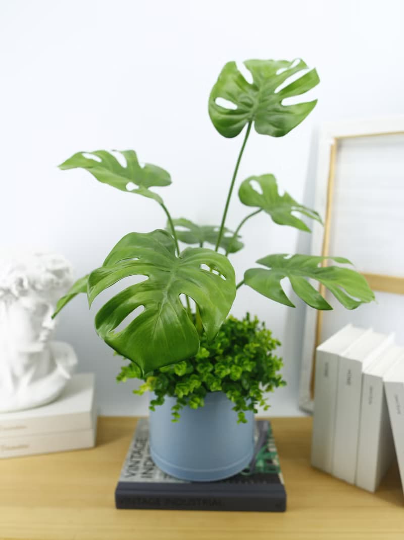 龜背芋皮革籃植栽 / 電信葉 / 擬真植物 / 禮物 / 永不凋零