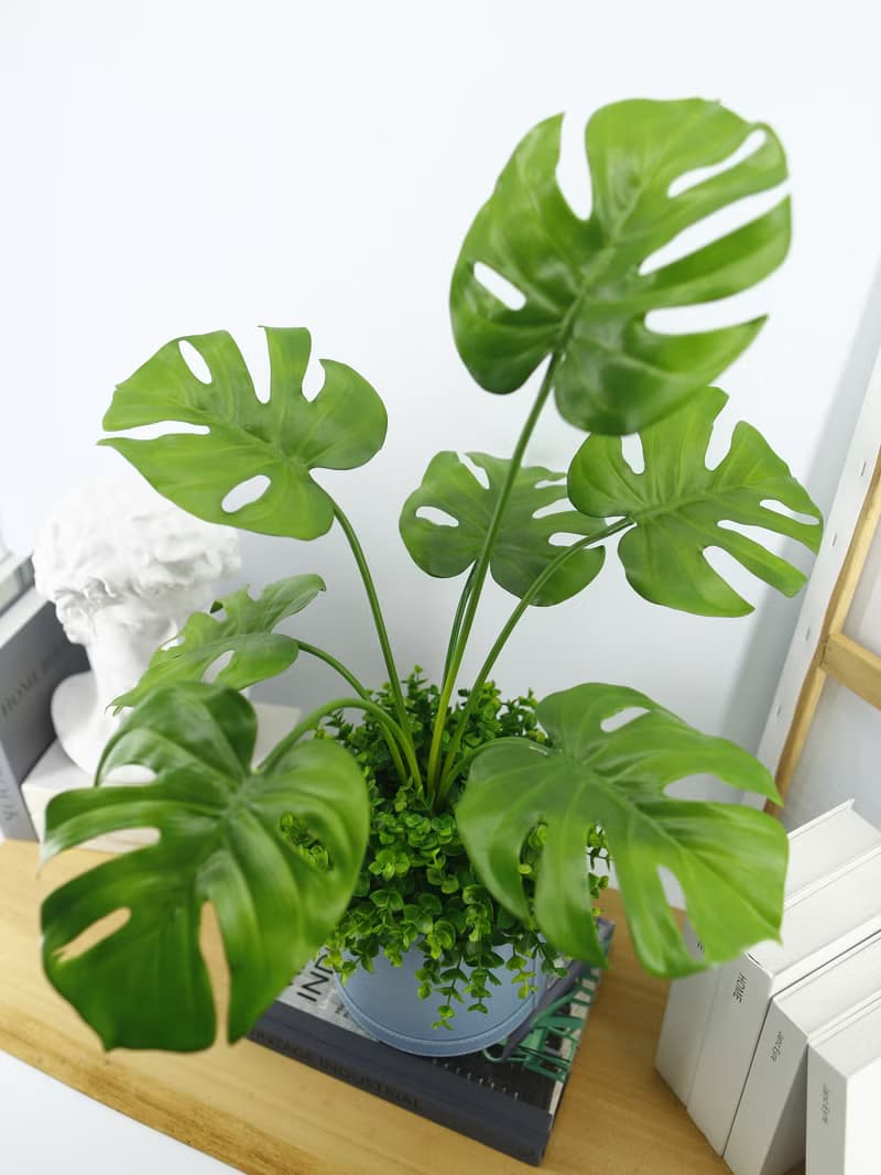 龜背芋皮革籃植栽 / 電信葉 / 擬真植物 / 禮物 / 永不凋零