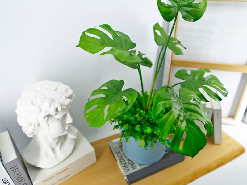龜背芋皮革籃植栽 / 電信葉 / 擬真植物 / 禮物 / 永不凋零