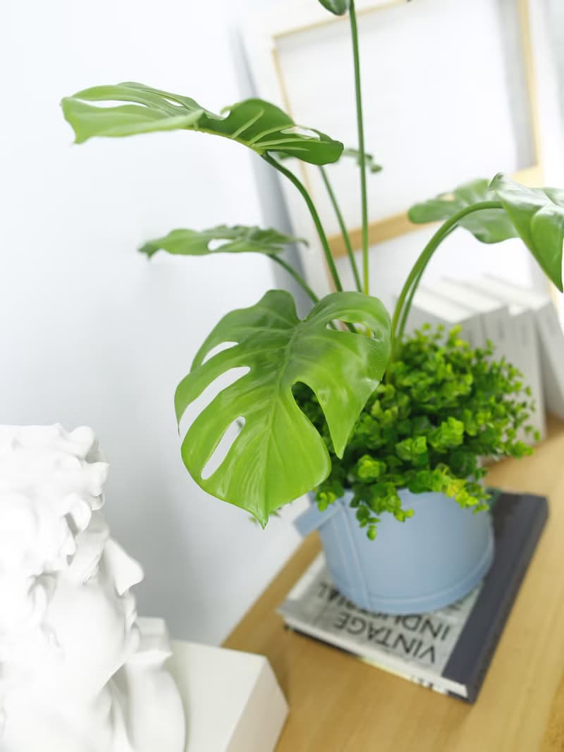 龜背芋皮革籃植栽 / 電信葉 / 擬真植物 / 禮物 / 永不凋零