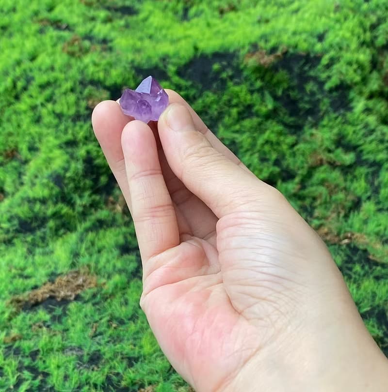 紫晶骨幹晶花 | 藍晶石 | 溝通 表達 觀察力 避邪化煞 招財增智慧