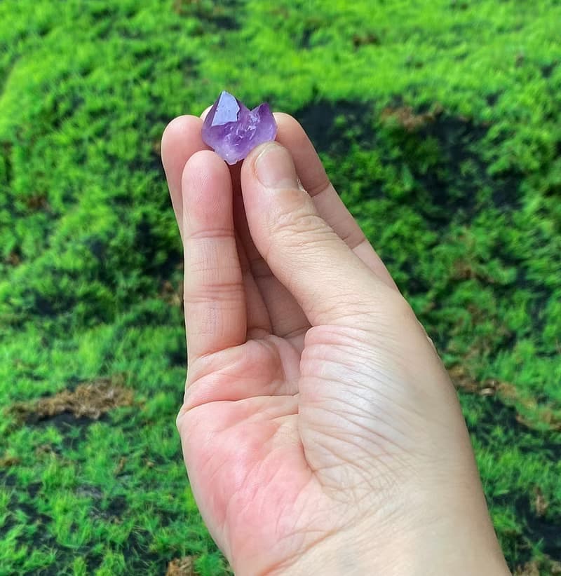 紫晶骨幹晶花 | 藍晶石 | 溝通 表達 觀察力 避邪化煞 招財增智慧