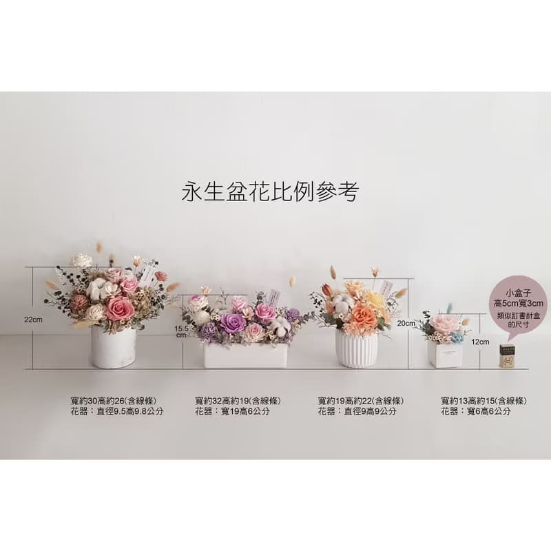 永生花+乾燥花|長盆永生玫瑰桌花|萬用祝賀花 生日 新居 開幕