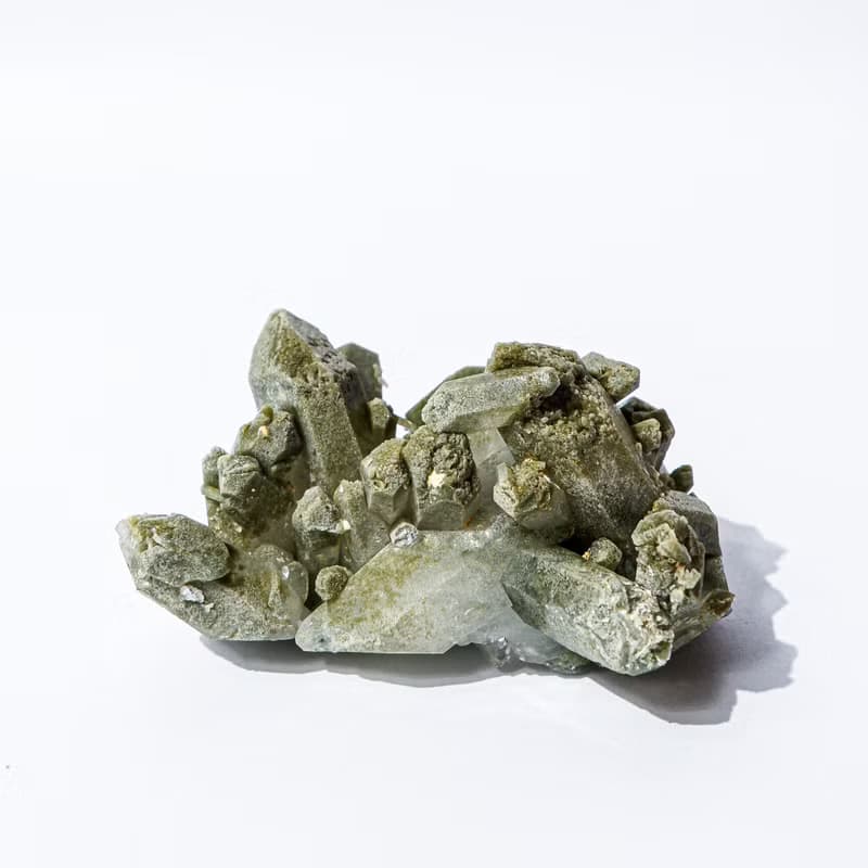 巴基斯坦喜馬綠幽靈簇