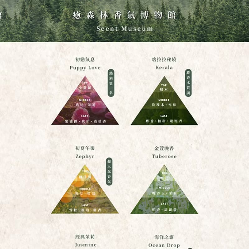 經典玫瑰香氛擴香水晶禮盒 (贈送15ml香氛油)