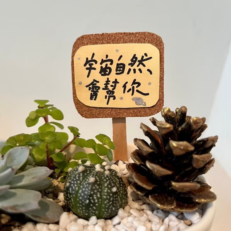 枯山水 松果 日式 開幕送禮 多肉組盆 多肉植物 創意盆栽 多肉盆