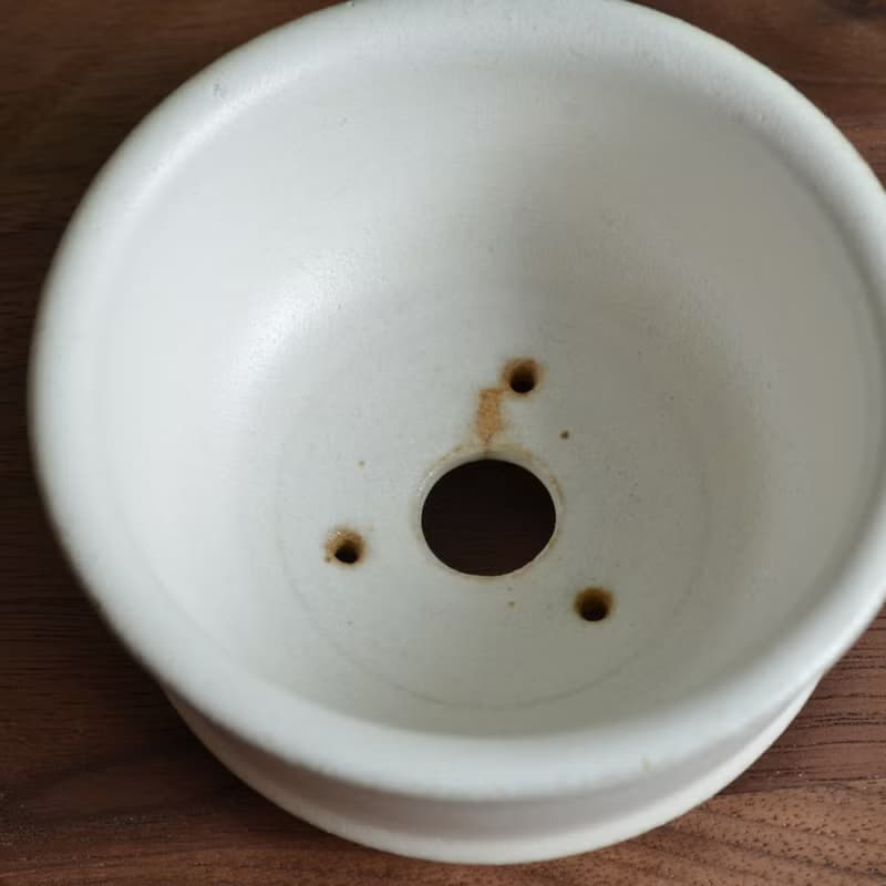 陶盆 | 糖霜白
