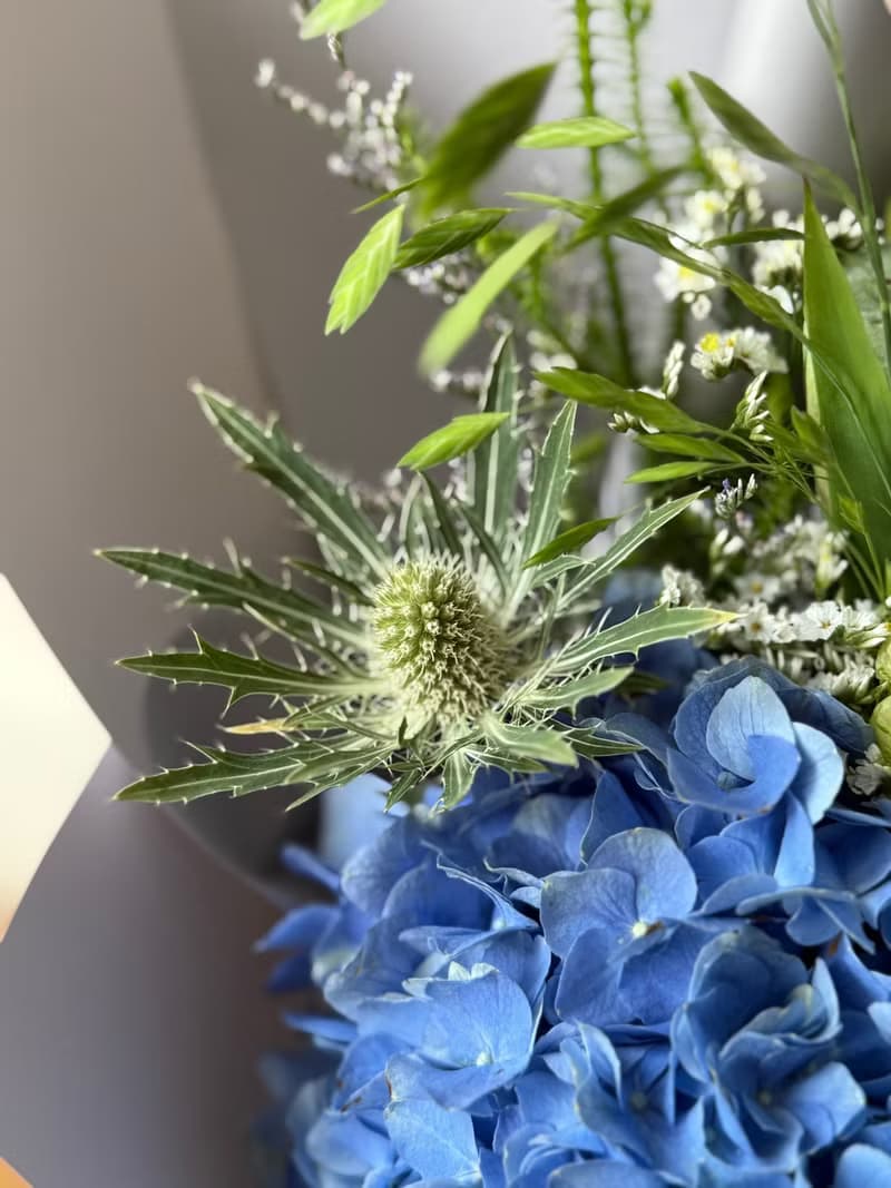 繡球花束 畢業花束 藍色鮮花花束 紫陽花