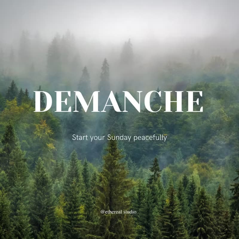 DÉMANCHE - Reed Diffuser 120ml