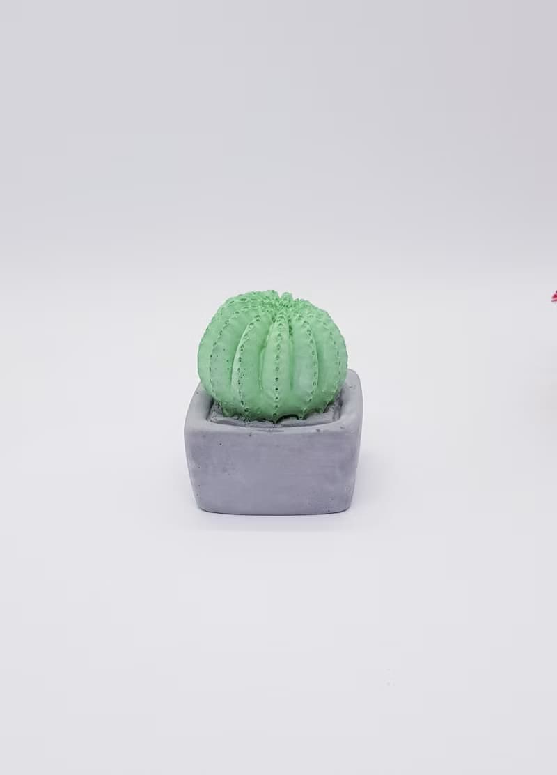 【禮品包裝】手作療癒系-球狀仙人掌盆摘擴香石附香精-生日-情-