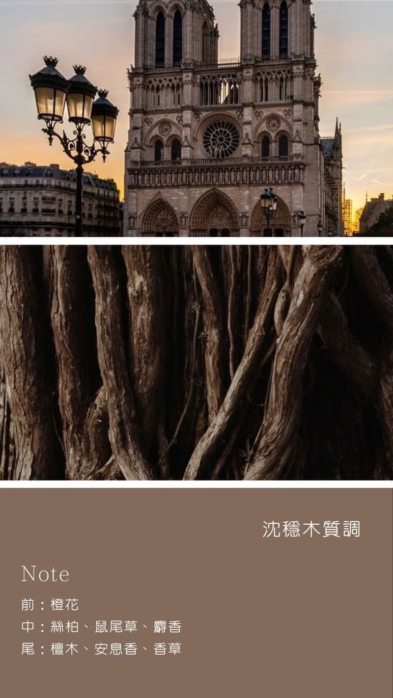 香氛蠟燭 城市系列 沈穩木質調 巴黎聖母院 Notre Dame de Paris