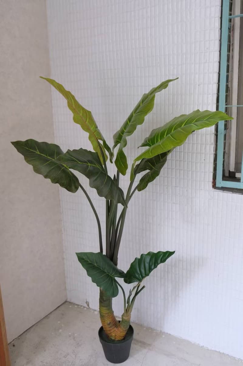 人造植栽/仿真姑婆芋/仿真植物/綠化/永不凋零