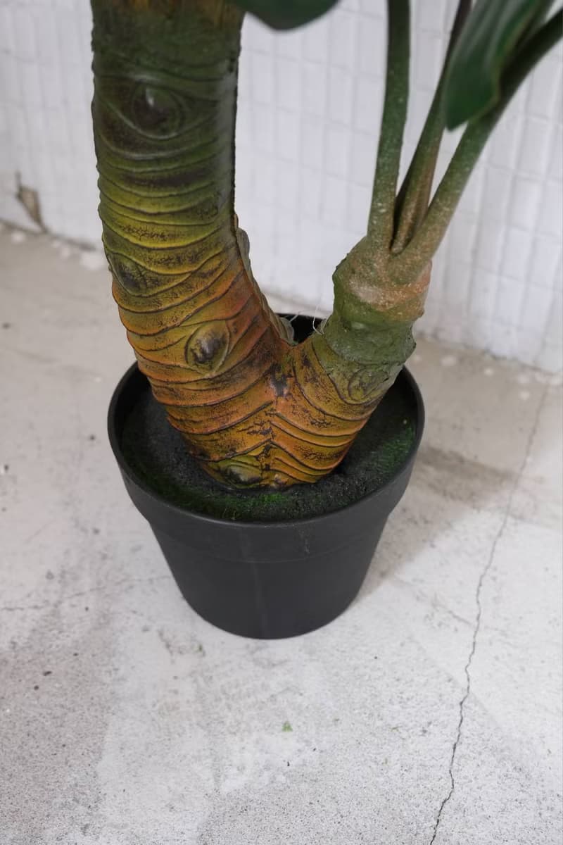 人造植栽/仿真姑婆芋/仿真植物/綠化/永不凋零