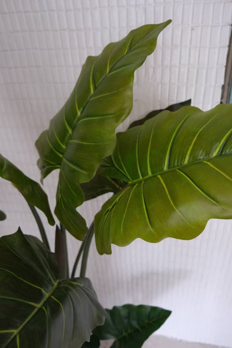 人造植栽/仿真姑婆芋/仿真植物/綠化/永不凋零