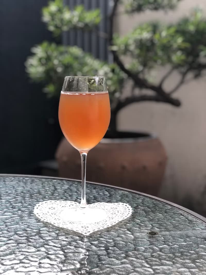 TNE尊榮禮盒2入組 (100%初萃限定+青梅酵素) 天然健康飲品 母親節