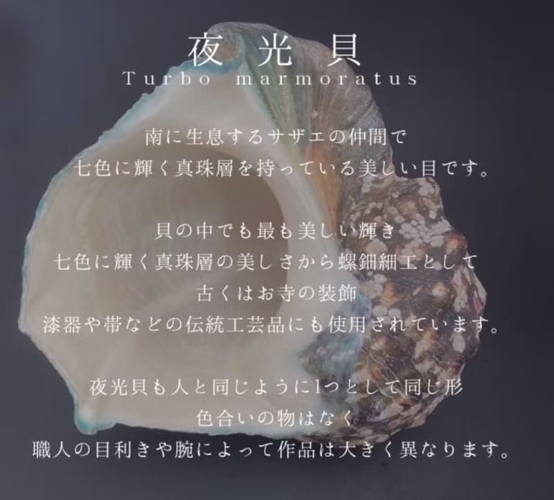 夜光貝殼 五彩羽毛項鍊