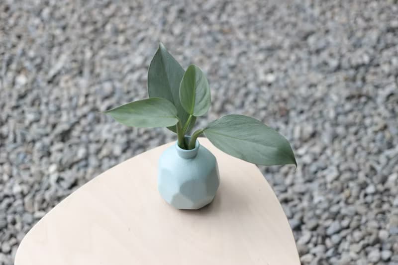水培植栽│銀劍蔓綠絨_室內植物 磨砂陶瓷幾何花瓶 淺藍