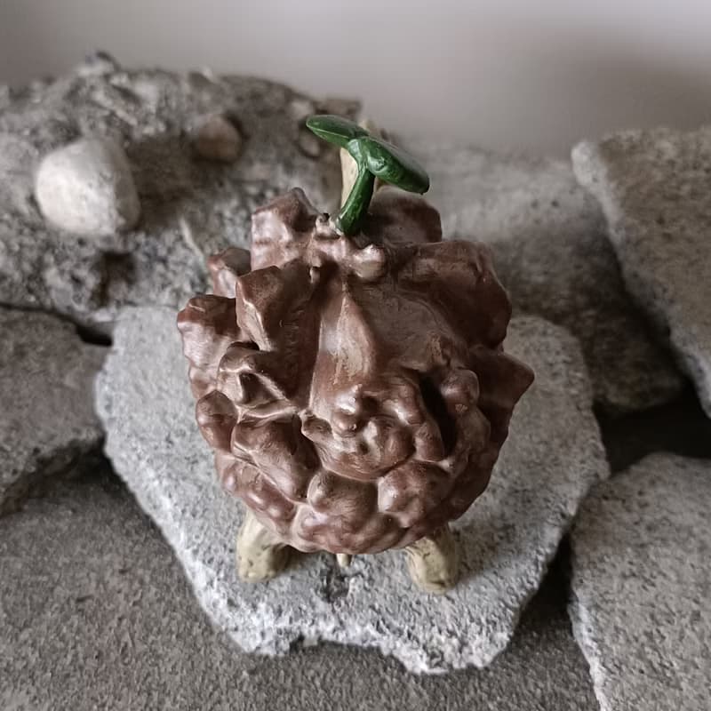 蘇卡達南非龜甲龍象龜