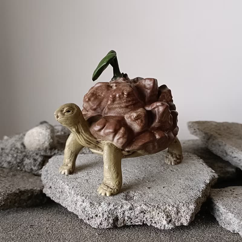 蘇卡達南非龜甲龍象龜