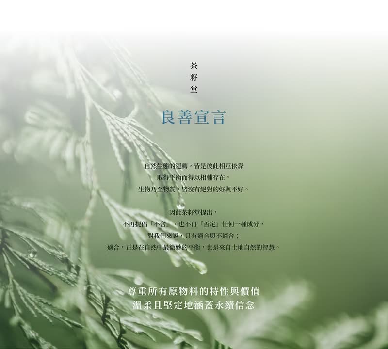 迎豐果版畫禮盒_手部潔淨雙入組 植萃洗手露組合【附提袋】