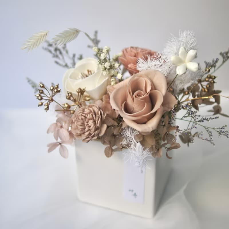 【艸弄Garden Lane Floral】奶茶色永生玫瑰花禮/開幕盆花/新居賀