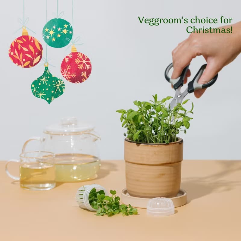 【環保交換禮物】微菜香草茶種植DIY套裝