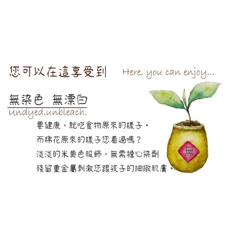 後綁帶圓領 宮廷袖 長袖上衣 兩側下擺收圓開衩設計 100%有機棉