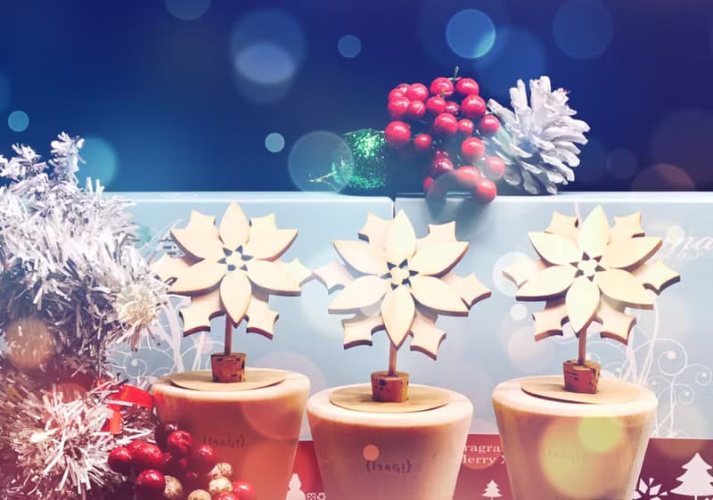Xmas 聖誕 交換禮物 薰香 盆栽 -poinsettia