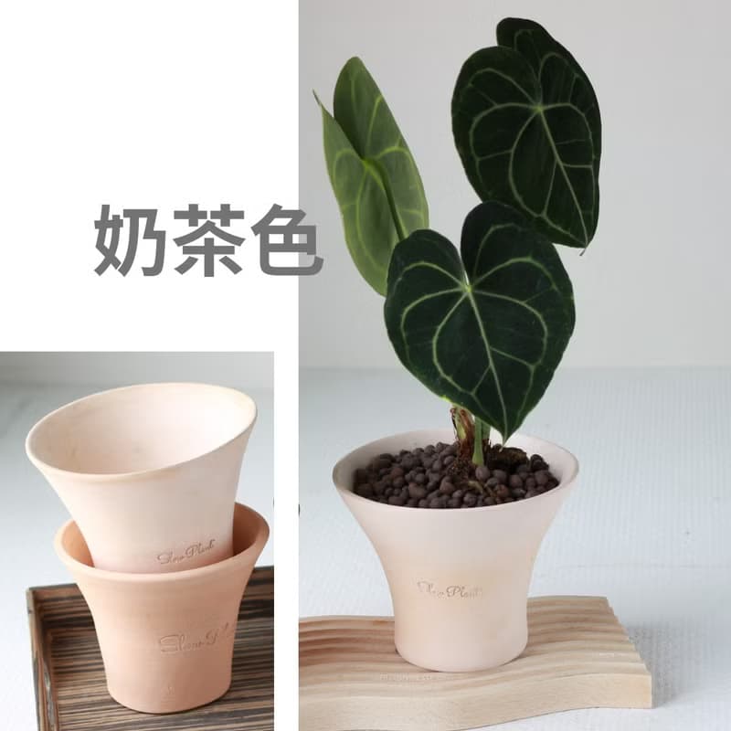 植栽 盆栽 l Slow Plant素燒陶盆 低腰曲線時尚盆 兩色挑選
