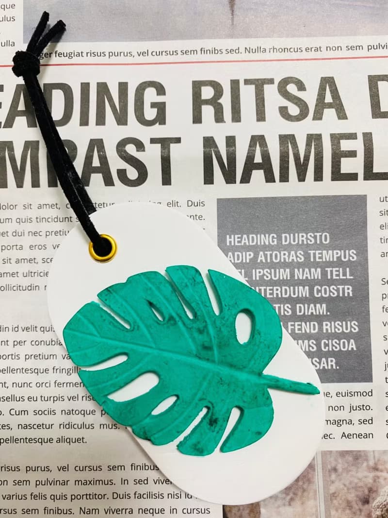 VitaDesign 龜背芋 仙人掌擴香石 開幕誌慶 喬遷之喜 婚禮 交換禮