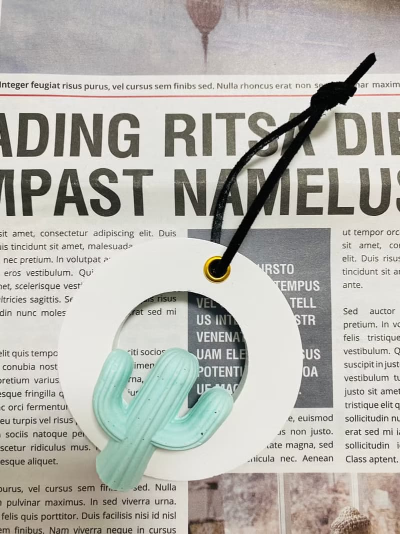 VitaDesign 龜背芋 仙人掌擴香石 開幕誌慶 喬遷之喜 婚禮 交換禮