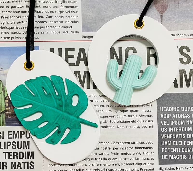 VitaDesign 龜背芋 仙人掌擴香石 開幕誌慶 喬遷之喜 婚禮 交換禮