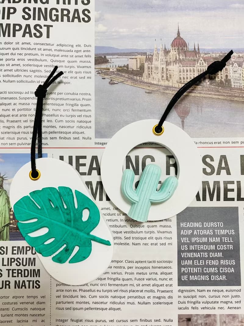 VitaDesign 龜背芋 仙人掌擴香石 開幕誌慶 喬遷之喜 婚禮 交換禮