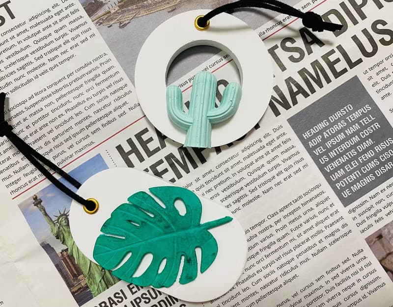 VitaDesign 龜背芋 仙人掌擴香石 開幕誌慶 喬遷之喜 婚禮 交換禮