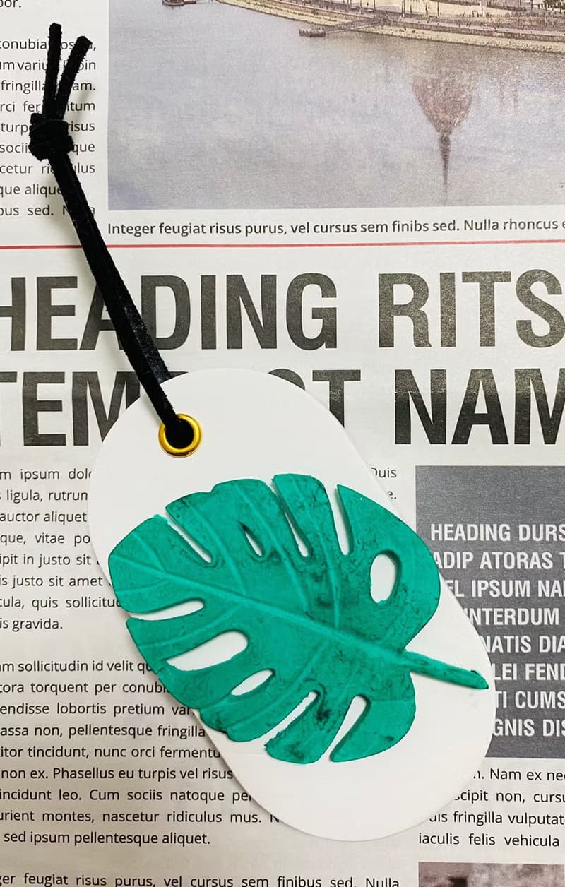 VitaDesign 龜背芋 仙人掌擴香石 開幕誌慶 喬遷之喜 婚禮 交換禮