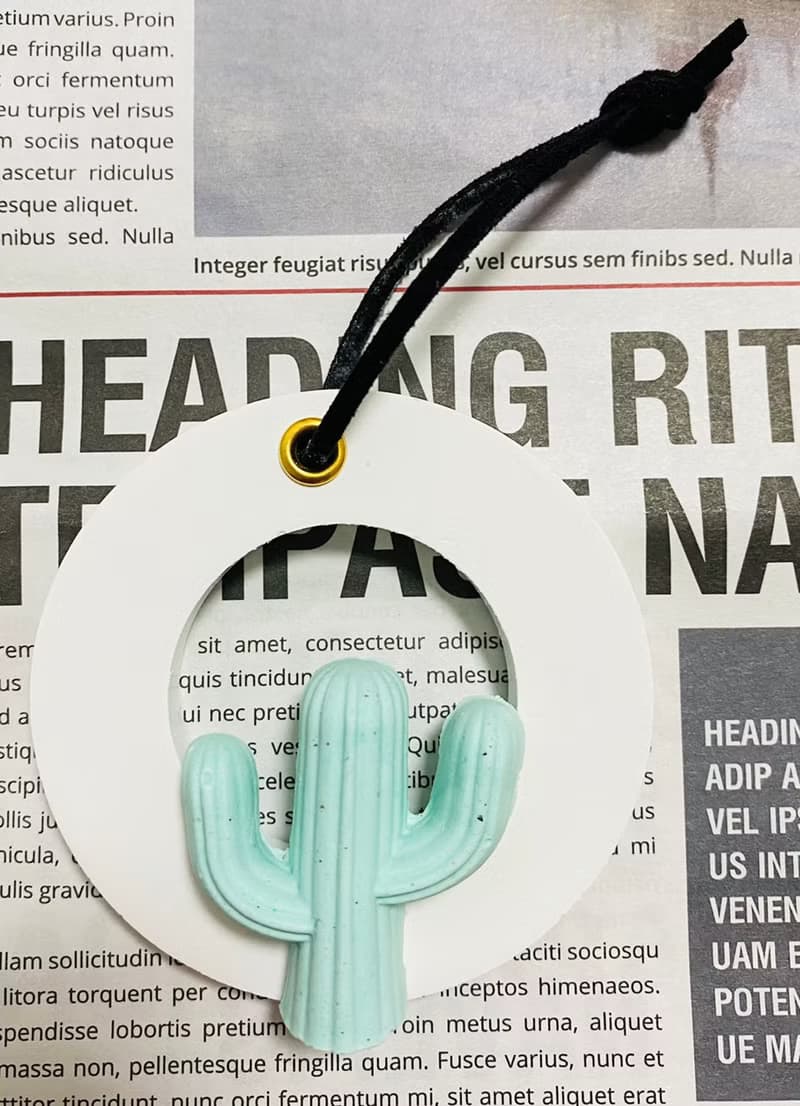 VitaDesign 龜背芋 仙人掌擴香石 開幕誌慶 喬遷之喜 婚禮 交換禮