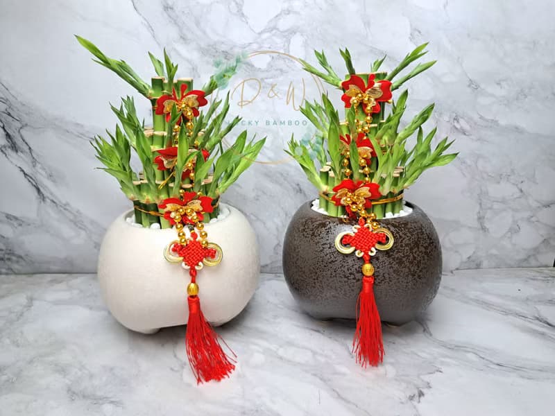 黑白胖三 開運竹 開幕 開店 送禮 入厝 喬遷 生日禮物