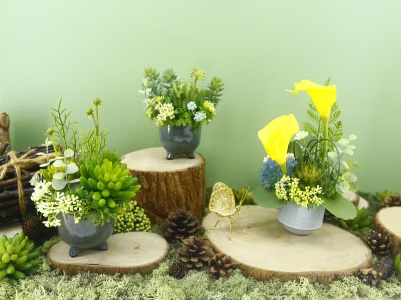 恆久祝福黃海芋香氛花禮/入厝禮/開幕/喬遷/送禮/植栽
