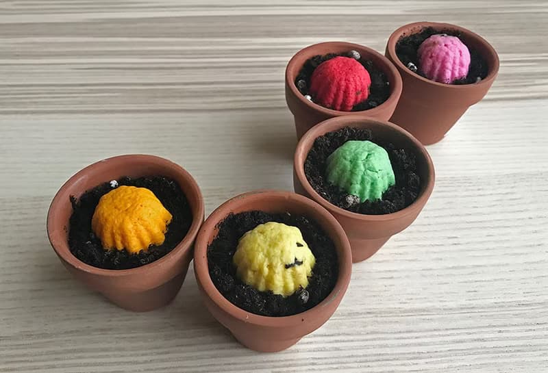 【送禮自用套組】 Flower Grows 彩色花朵種子球植栽套組