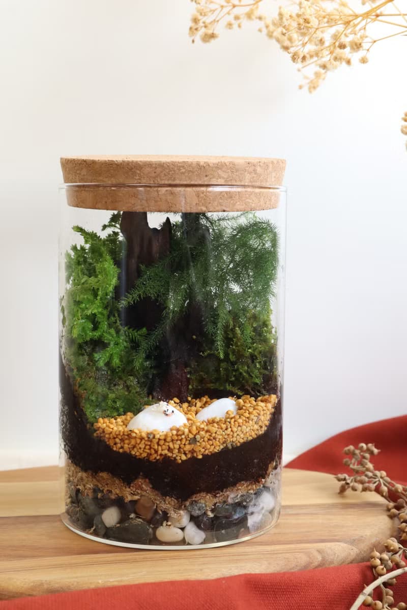 【微景觀】三腳貓功夫 - 苔蘚組盆/交換禮物/功夫貓貓