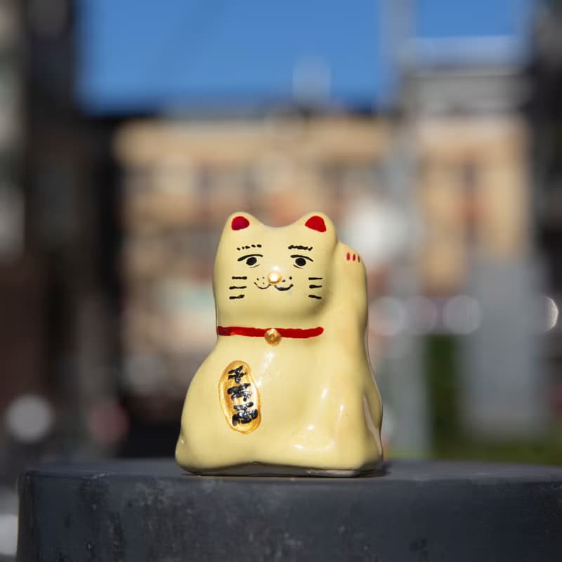 街頭開運招財貓-小黃