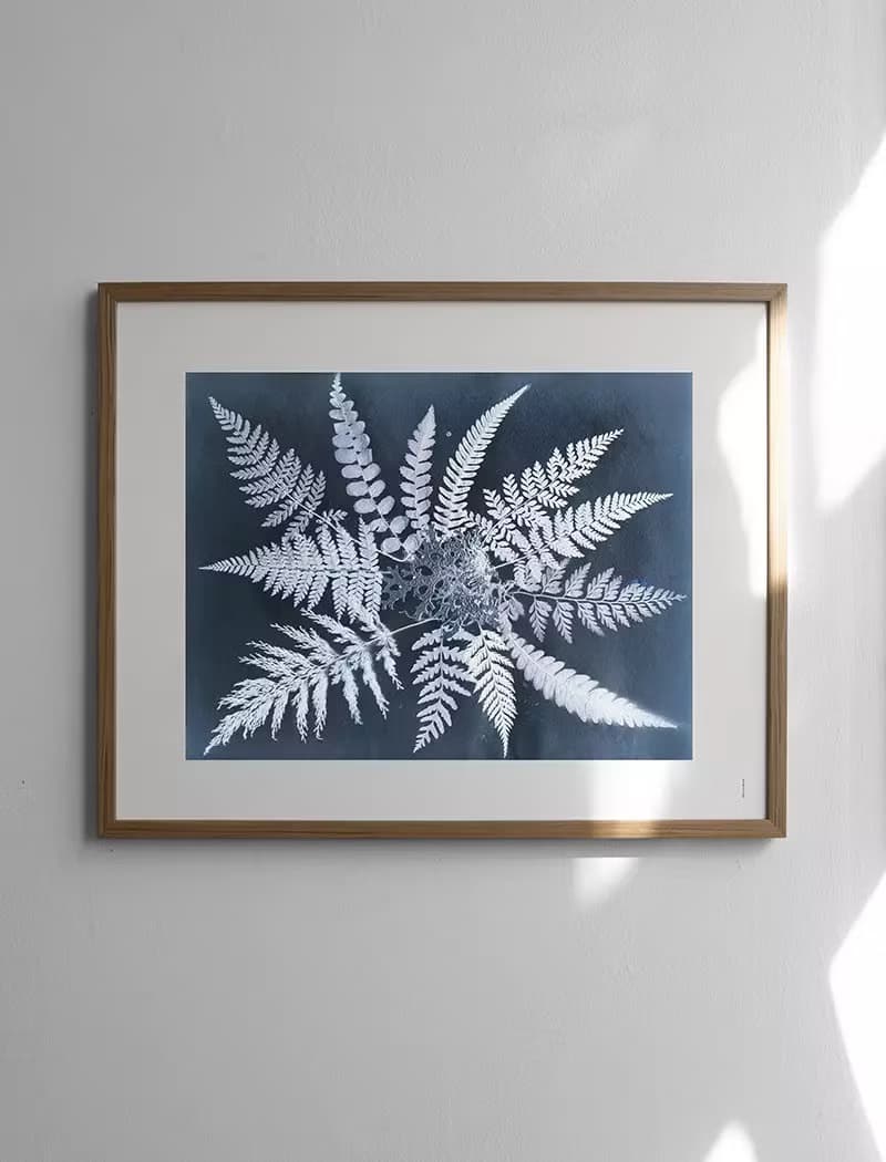 Elisabeth Dunker - 瑞典藝術家設計海報  FERN STAR POSTER