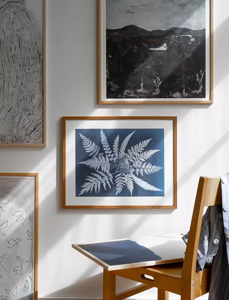 Elisabeth Dunker - 瑞典藝術家設計海報  FERN STAR POSTER