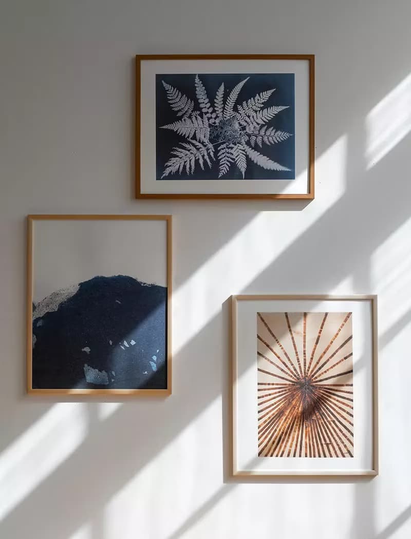 Elisabeth Dunker - 瑞典藝術家設計海報  FERN STAR POSTER