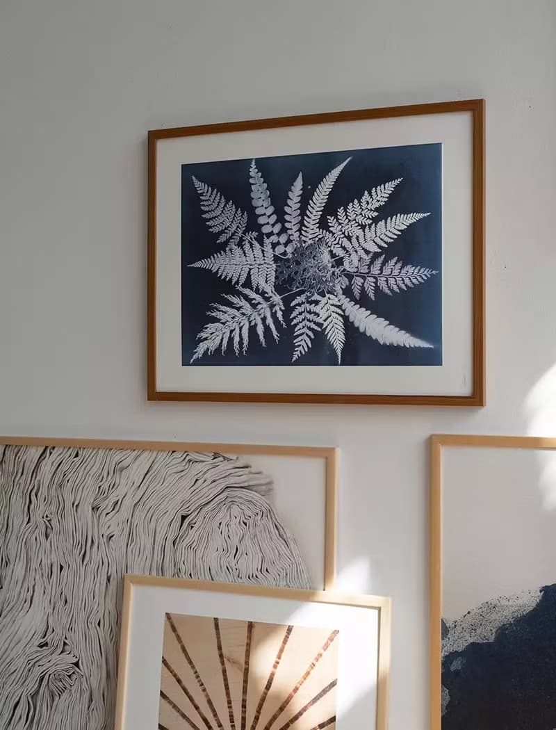 Elisabeth Dunker - 瑞典藝術家設計海報  FERN STAR POSTER