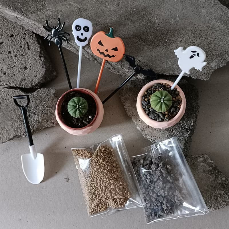 不給兜就搗蛋-泥盆種植體驗材料包