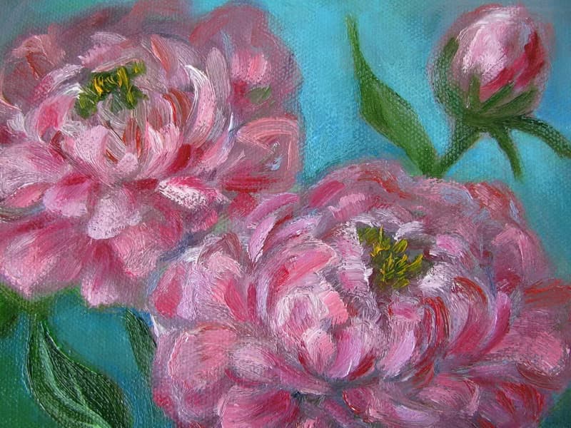 Peonies original oil painting small size stretched canvas, Livingroom decoration